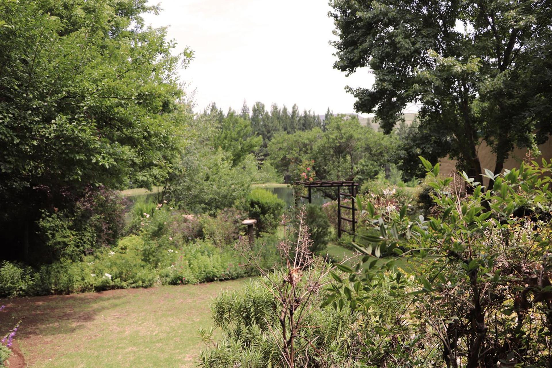 Hotel Schaefers' Halt Dullstroom Exteriér fotografie
