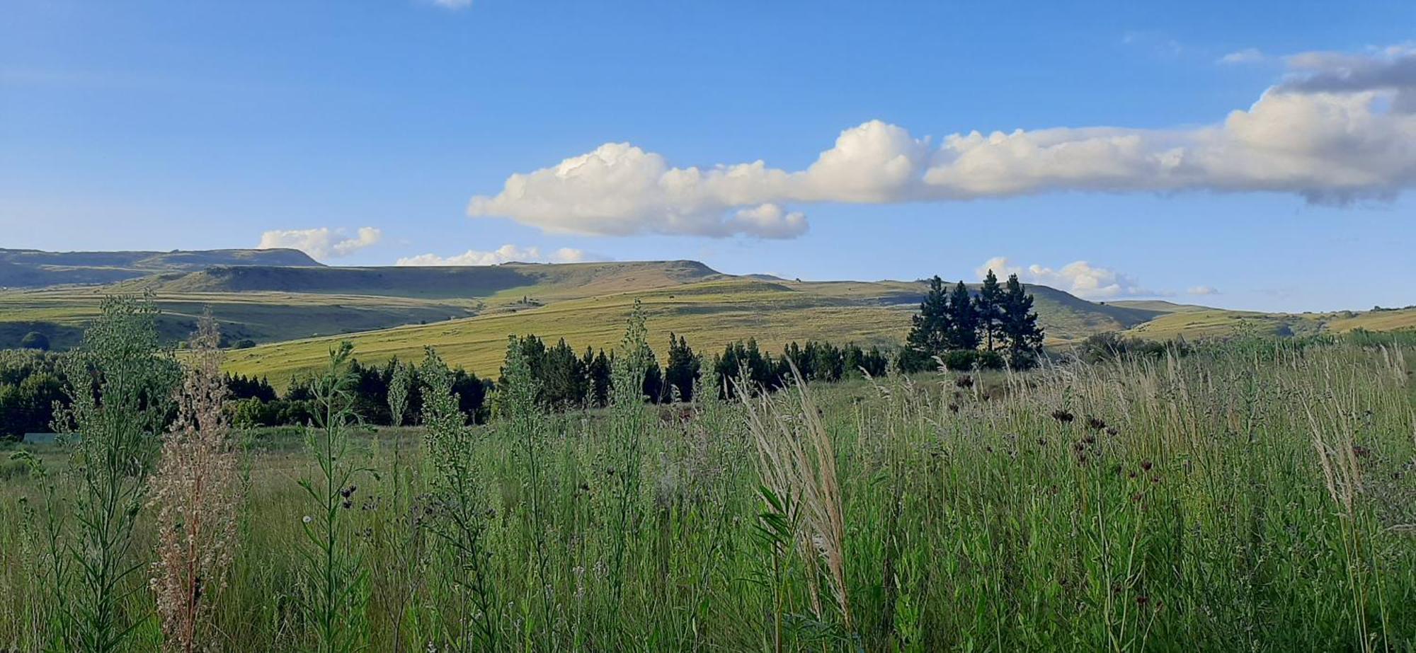 Hotel Schaefers' Halt Dullstroom Exteriér fotografie