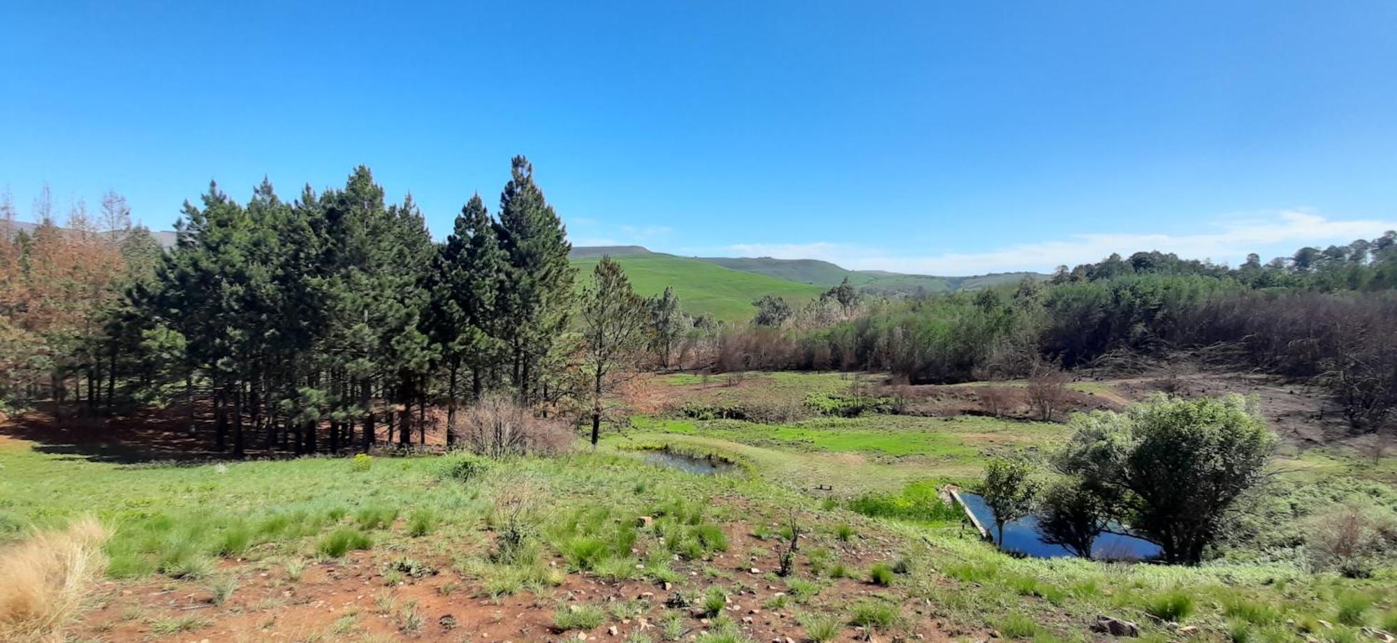 Hotel Schaefers' Halt Dullstroom Exteriér fotografie